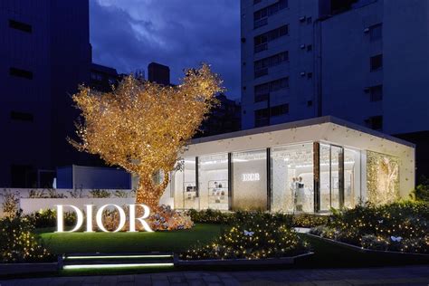 Dior dévoile ses décorations de Noël à travers le monde